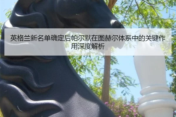 英格兰新名单确定后帕尔默在图赫尔体系中的关键作用深度解析